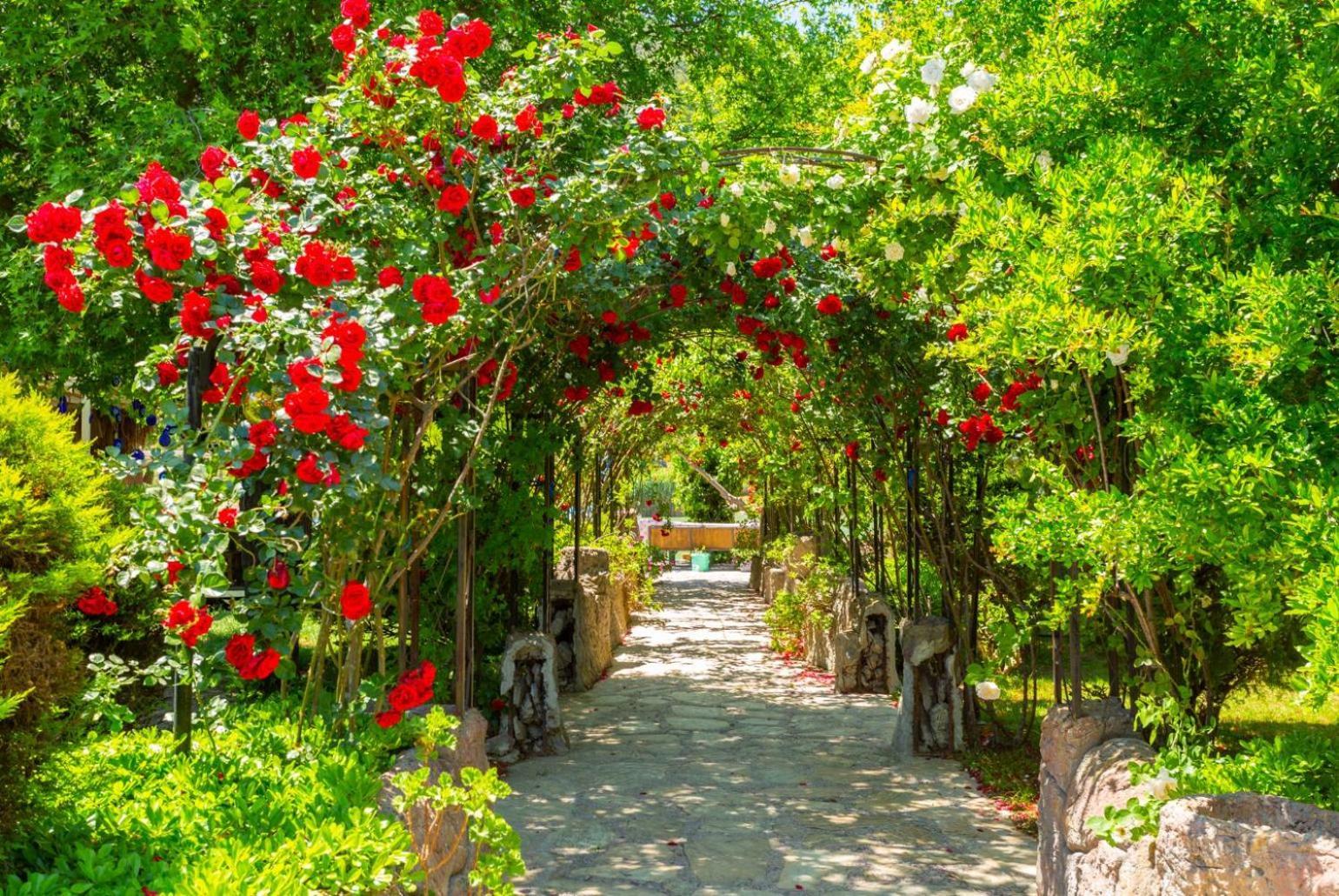 Villa Deniz Paradise Dalyan Ngoại thất bức ảnh
